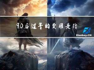 90后过年的费用是什么