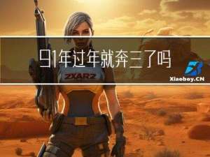 91年过年就奔三了吗