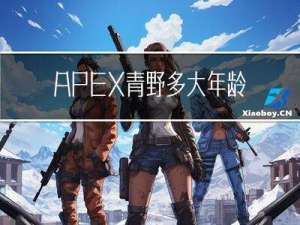 APEX青野多大年龄