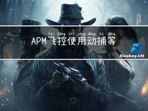 APM飞控使用动捕等外部定位