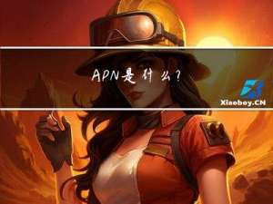 APN是什么？
