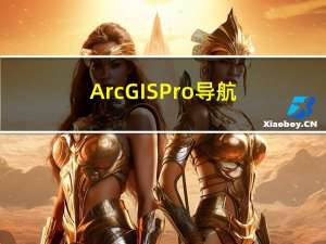ArcGIS Pro导航工具