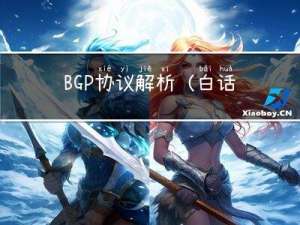 BGP协议解析（白话版）