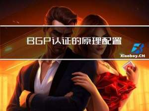 BGP认证的原理配置