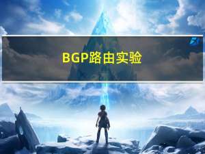 BGP路由实验