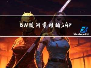 BW顾问常用的SAP T_CODE