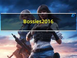Bossies 2016：最佳开源大数据工具