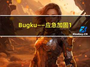 Bugku——应急加固1