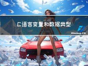 C语言变量和数据类型的使用