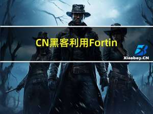 CN黑客利用Fortinet的零日漏洞进行网络间谍攻击