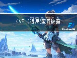 CVE(通用漏洞披露)
