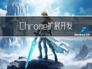 Chrome扩展开发指南