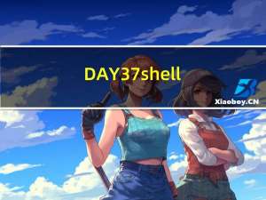 DAY 37 shell免交互