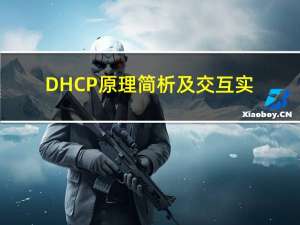 DHCP原理简析及交互实践