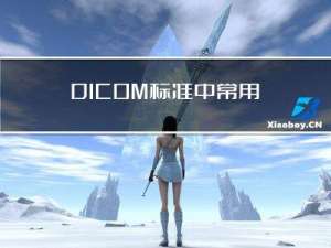 DICOM 标准中，常用的数据元素类型