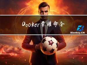Docker常用命令详解，有这些足够了