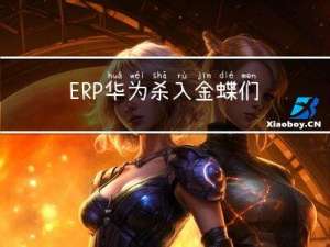 ERP：华为杀入，金蝶们打颤？