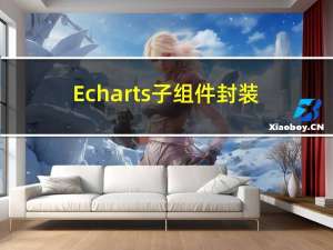 Echarts子组件封装以及多个Echarts子组件随窗口变化而变化!