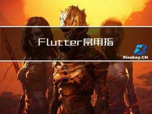 Flutter 常用指令