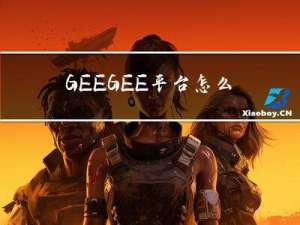 GEE：GEE平台怎么提高用户内存限制