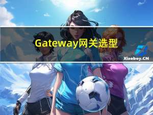 Gateway网关选型