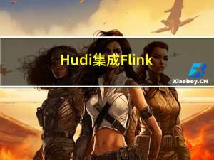 Hudi集成Flink-写入方式