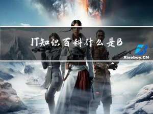 IT知识百科：什么是BGP？