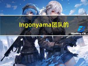 Ingonyama团队的ZKP加速