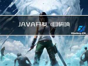 JAVA开发（自研项目的开发与推广）