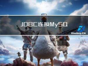 JDBC 连接 MySQL