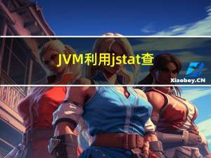 JVM：利用jstat查看GC信息及堆内存设置（二）