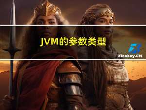 JVM的参数类型