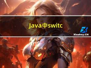 Java 中 switch 的用法