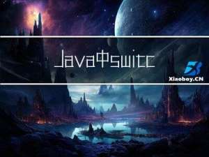 Java 中 switch 的用法