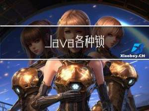 Java各种锁