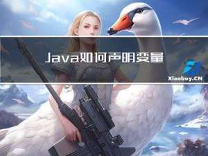 Java-如何声明变量