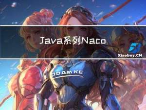 Java 系列 Nacos