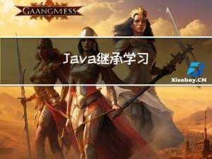 Java继承学习