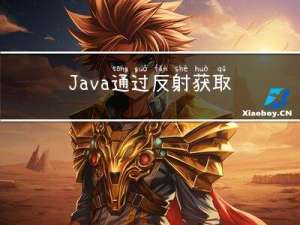 Java 通过反射获取方法与变量