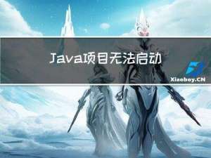 Java项目无法启动排查