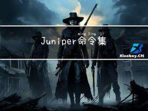 Juniper 命令集合，分好类了，网工收好了哦！