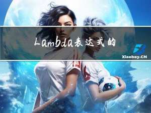 Lambda表达式的注意事项
