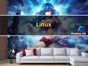 Linux(网络基础---数据链接层)