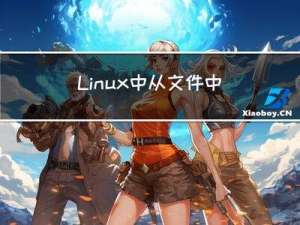 Linux中从文件中读取参数到拼接到命令行中