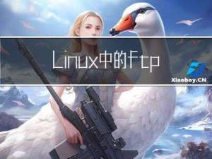 Linux中的ftp服务-----vsftpd