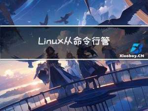 Linux从命令行管理文件