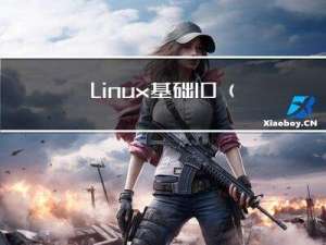 Linux基础IO(下)