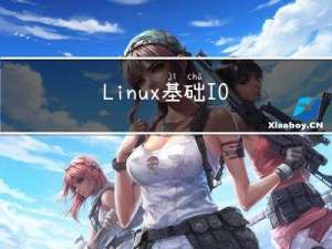 Linux基础IO