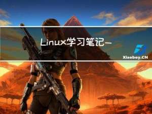 Linux学习笔记——UDP协议