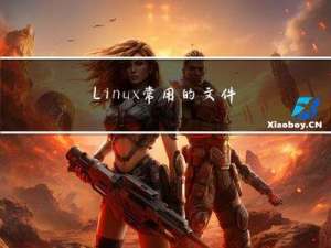 Linux 常用的文件基本指令